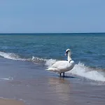 Haven Реваль