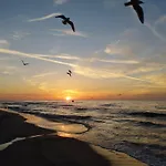 Haven